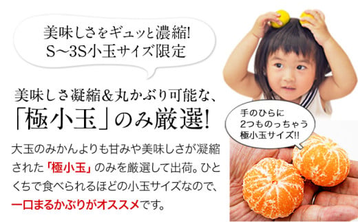 ひとくちもぎたてみかん 2