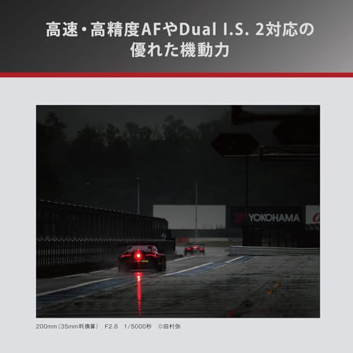 デジタル一眼カメラ用交換レンズ（望遠ズームレンズ） 6