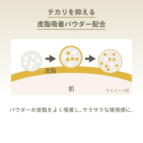 パーフェクトUV ブラッシュオンパウダー 10