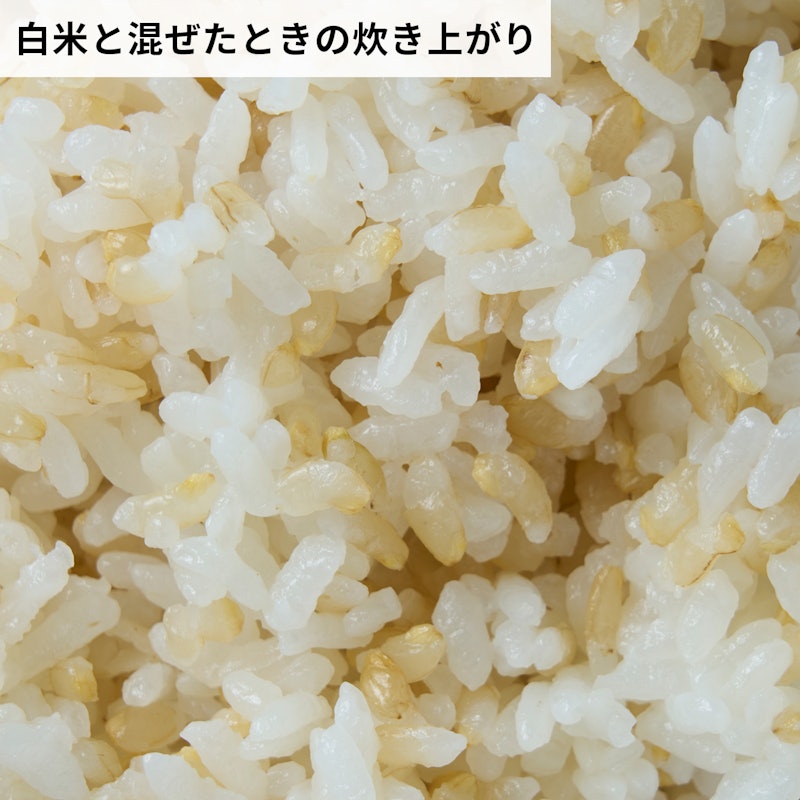 胚芽の栄養 たっぷりつまった 「金のいぶき」の発芽米 7