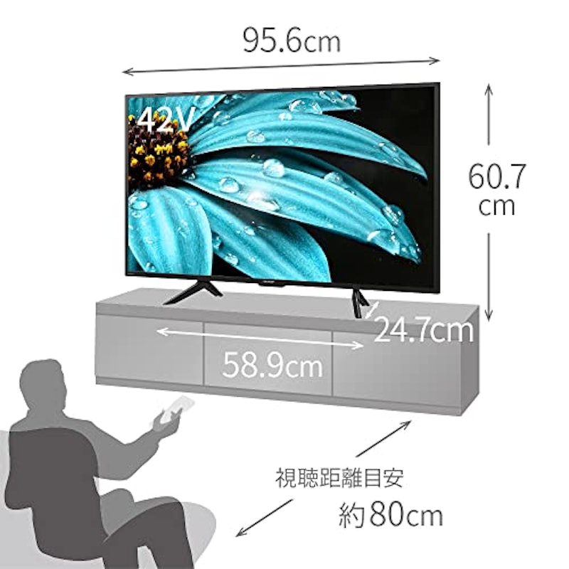 4K液晶テレビ DJ1ライン(2022年モデル) 2