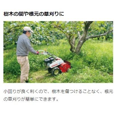 コンパクトハンマーモア 4