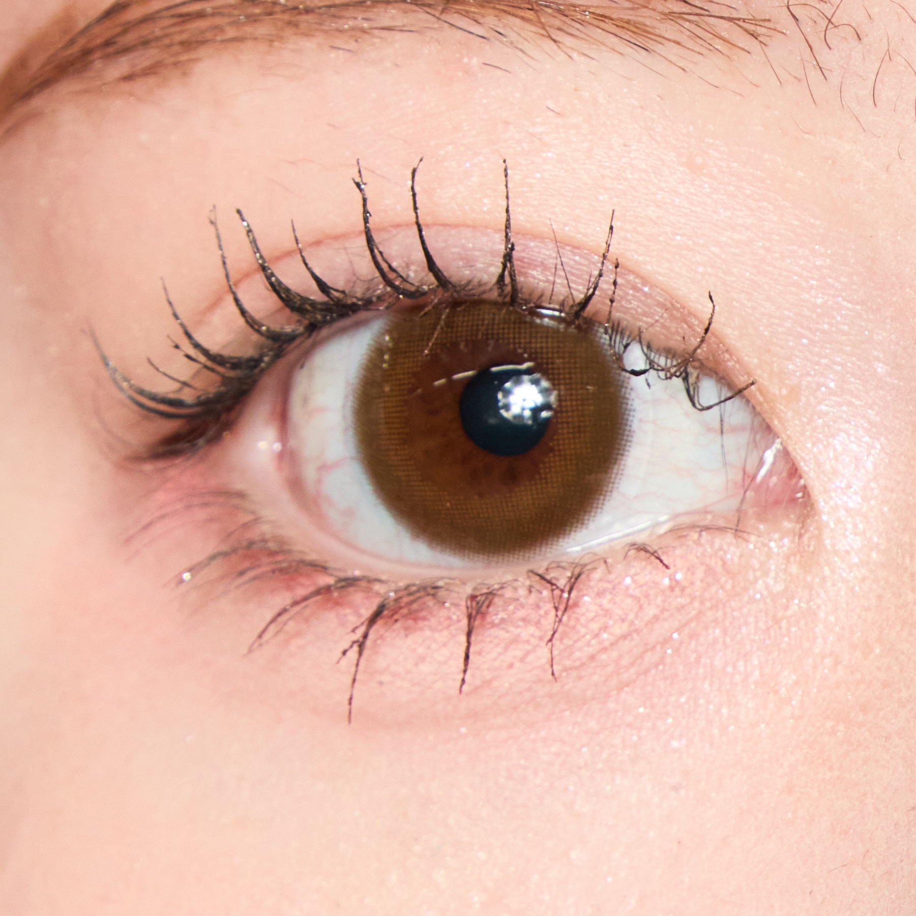 エレガンス グラヴィティレス マスカラ BK10をレビュー！クチコミ