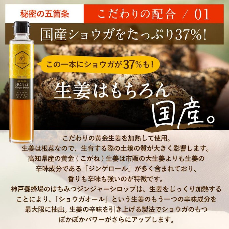 はちみつジンジャーシロップ 3