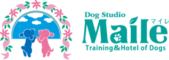 Dog Studio Maile 1