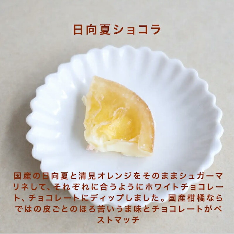 カカオ弁当 12