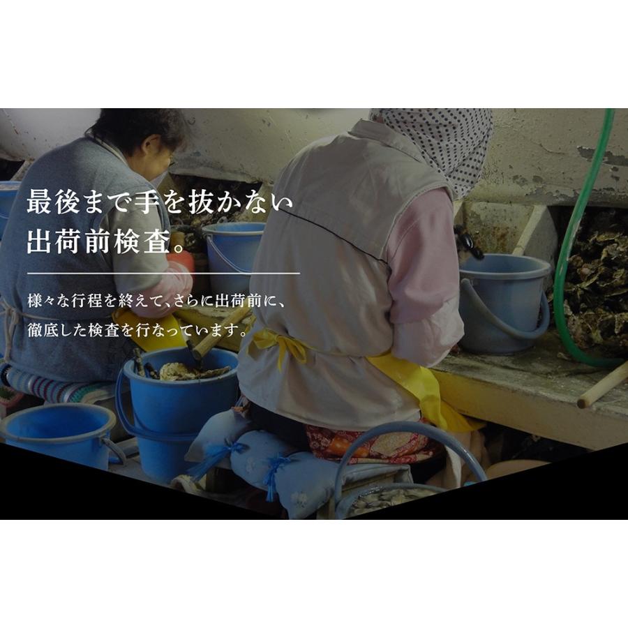  殻つき生牡蠣 10