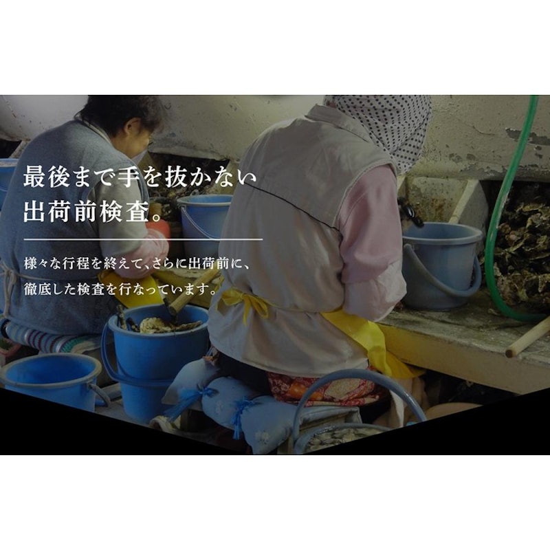殻つき生牡蠣 10
