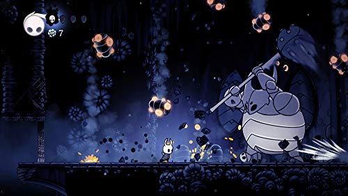 Hollow Knight 6