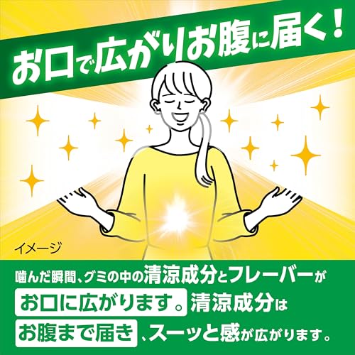 噛むブレスケア スッキリクールミント味 3
