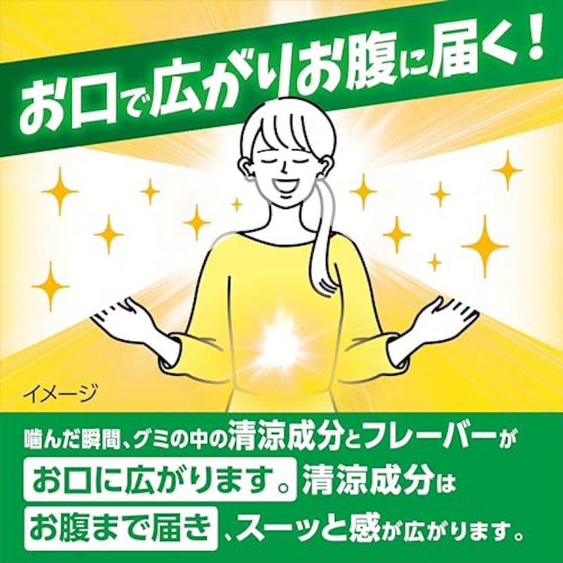 噛むブレスケア スッキリクールミント味 3