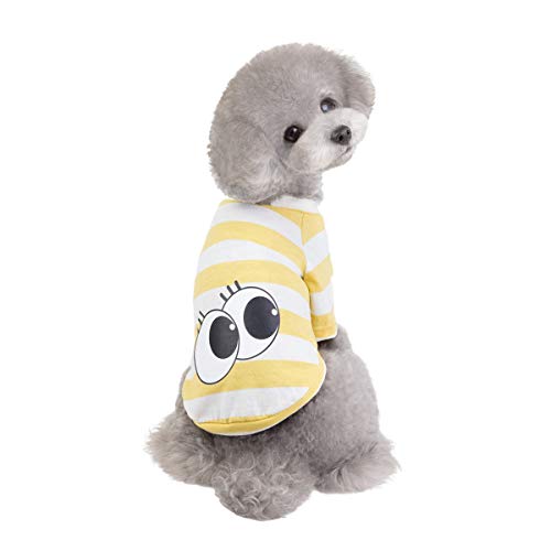 犬服 Tシャツ 1