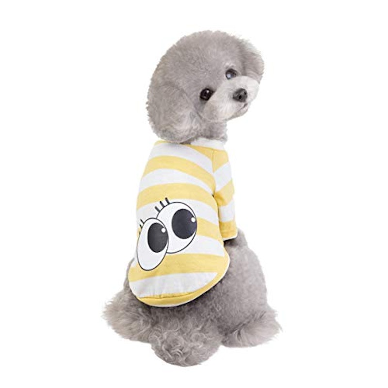 犬服 Tシャツ 1