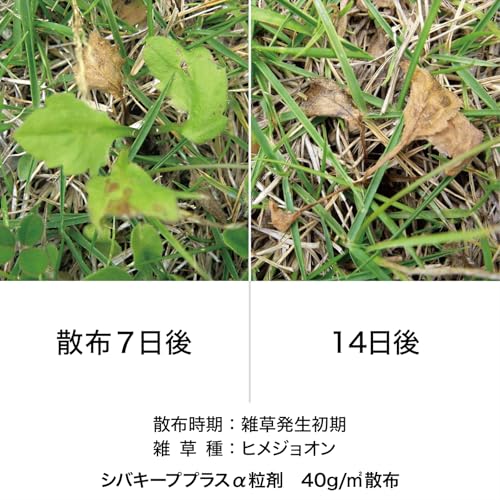シバキープ プラスα 3