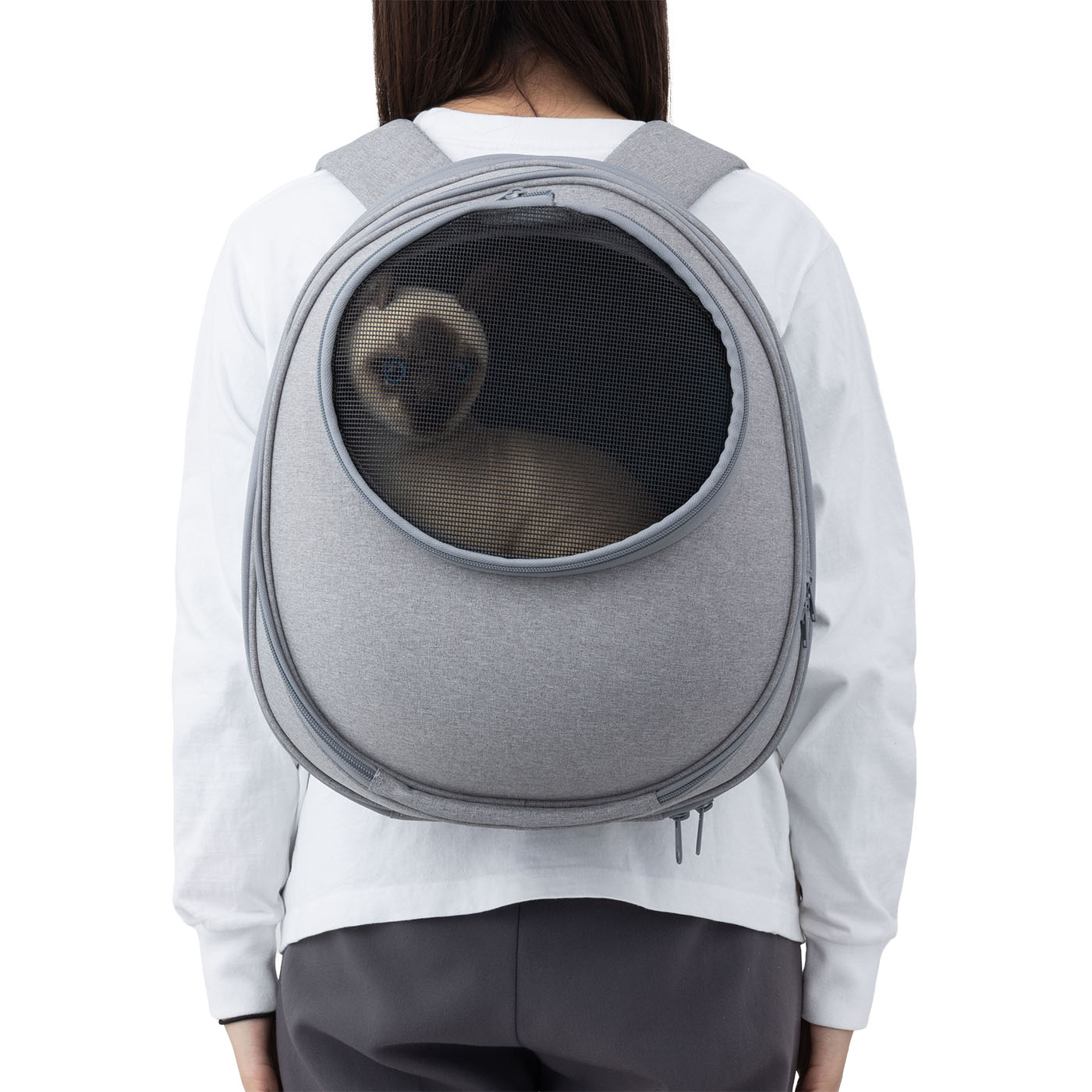 EGGYリュック型猫ハウス 6