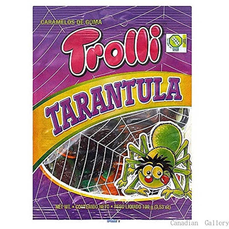 タランチュラグミ 1