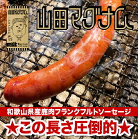 山田マグナム 1