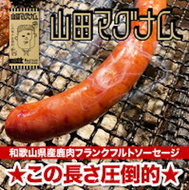 山田マグナム 1