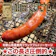 Meat Factory 山田マグナム 1