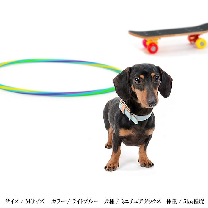 シンプルベーシック首輪 5