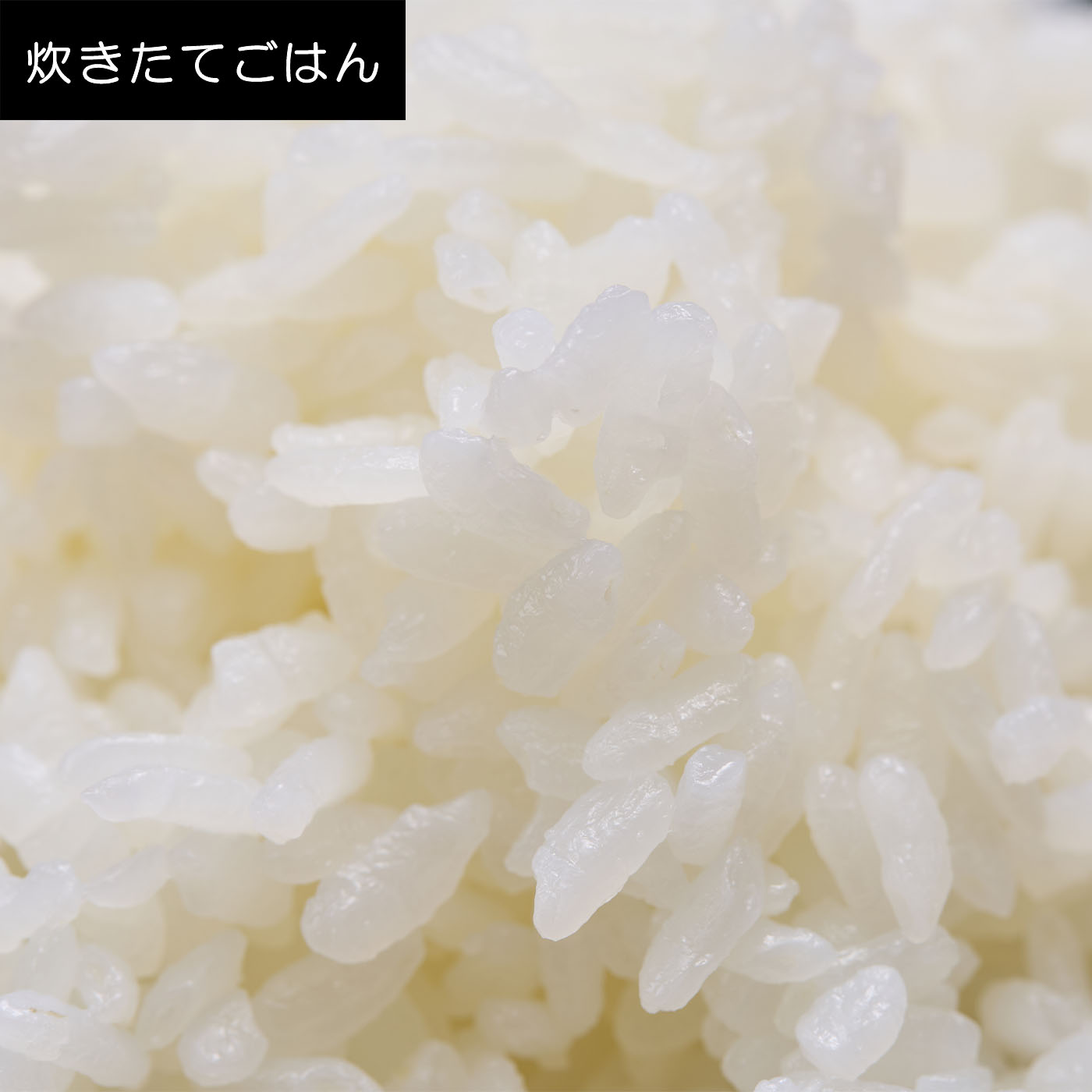 土鍋圧力IHジャー炊飯器 土鍋ご泡火炊き 9