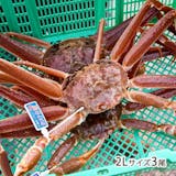 活カニ通販のおすすめ人気ランキング【2026年7月】 3