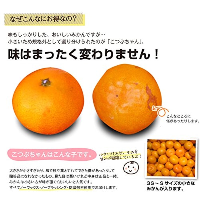 こつぶちゃん 訳ありみかん 2