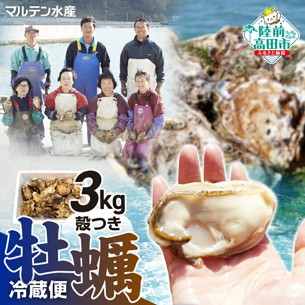 訳あり・数量限定 生食用殻付き牡蠣  1