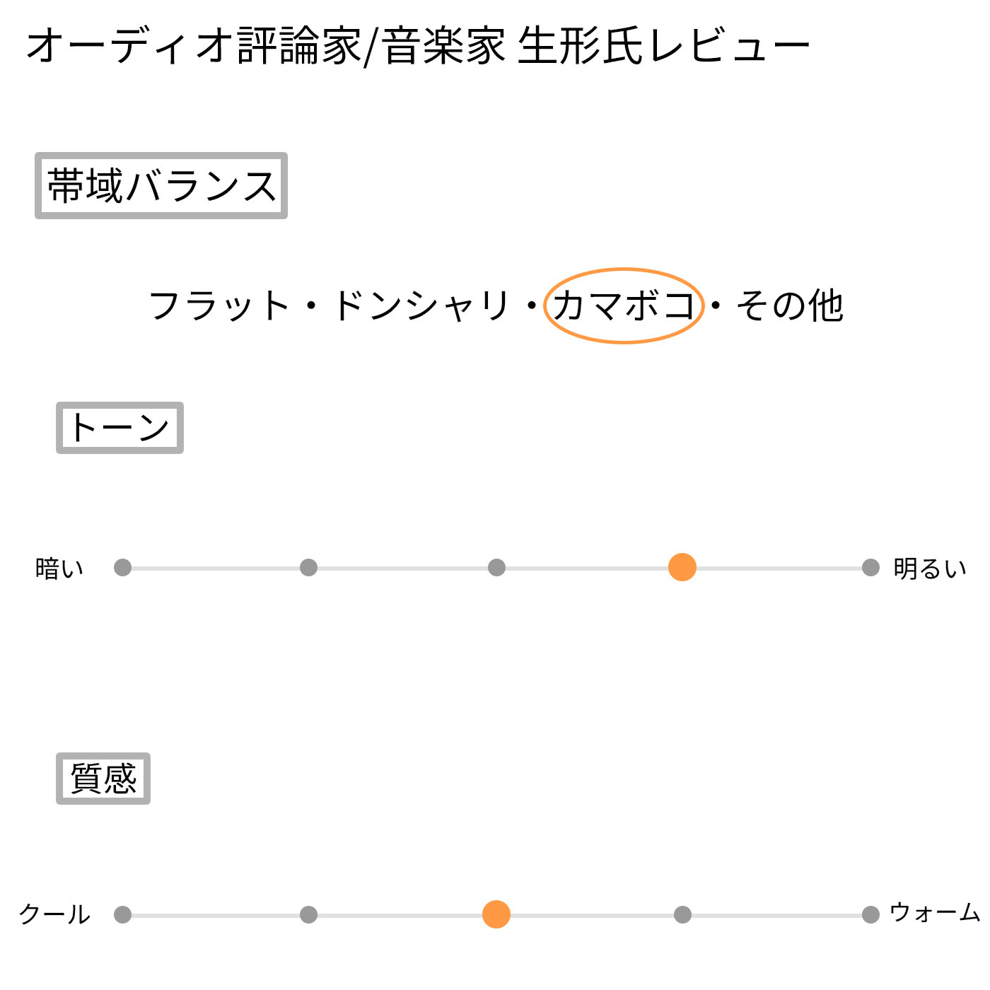 ウォークマンAシリーズ メモリータイプ NW-A300シリーズ 10