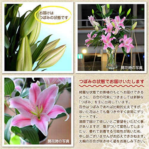 大輪系 ピンクユリの花束 4