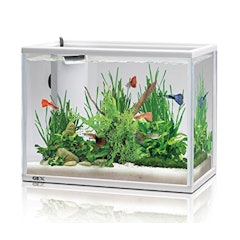 22年 熱帯魚用水槽のおすすめ人気ランキング17選 Mybest 22年 熱帯魚用水槽のおすすめ人気ランキング17選 Mybest