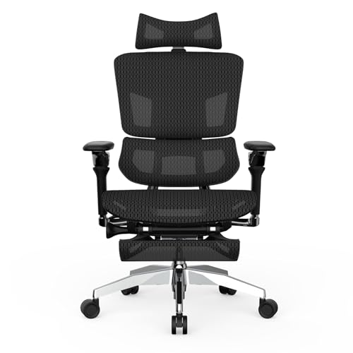 Rasical Chair Elite 1