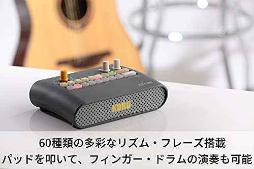 KORG KR mini 4