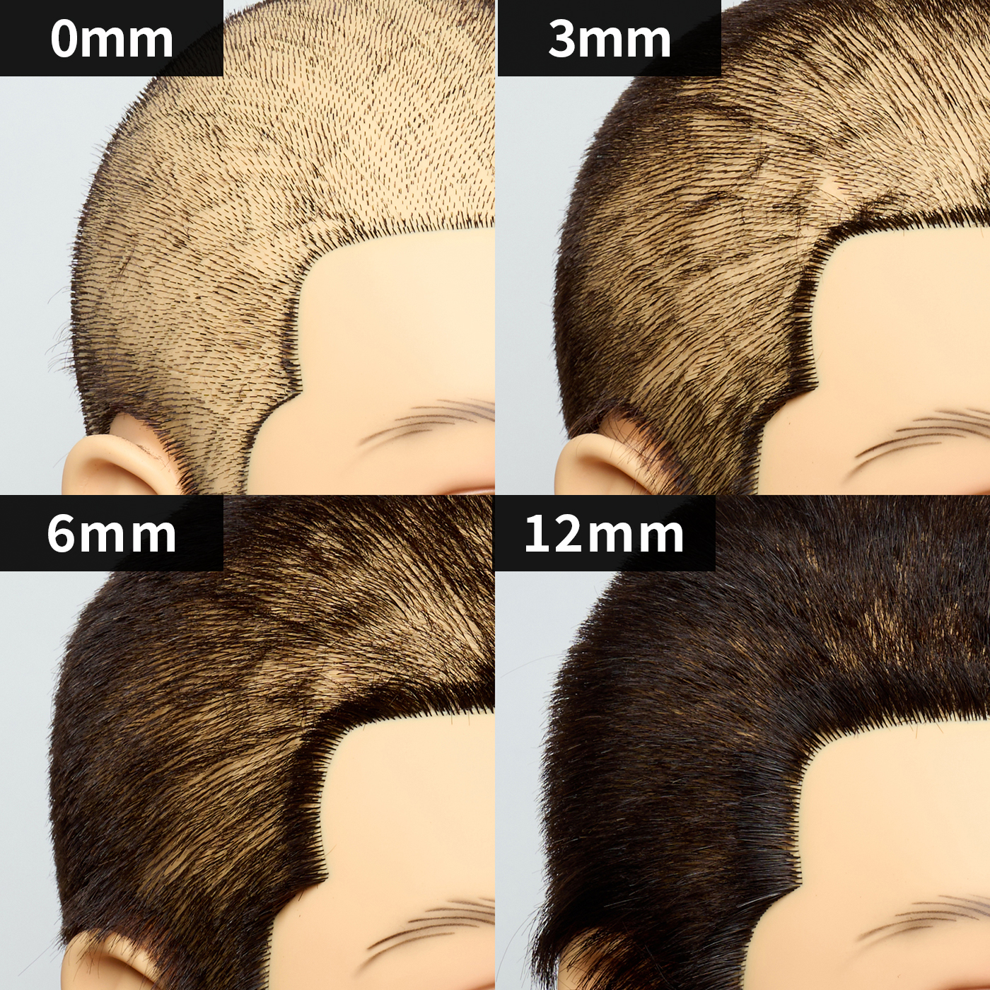 18b1d0507e496bfd42d650c8dd5bee