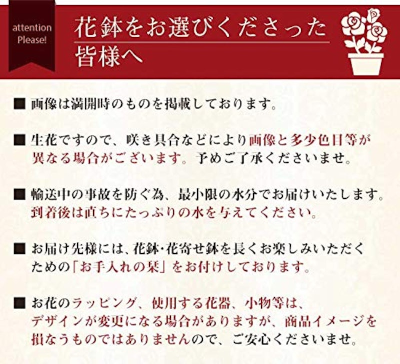 アジサイ鉢 4号&スイーツセット 5