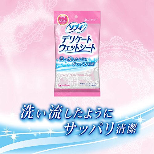 ソフィデリケートウェットシート 無香料 2