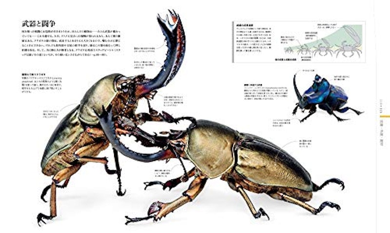 ZOOLOGY 図鑑 動物の世界 3