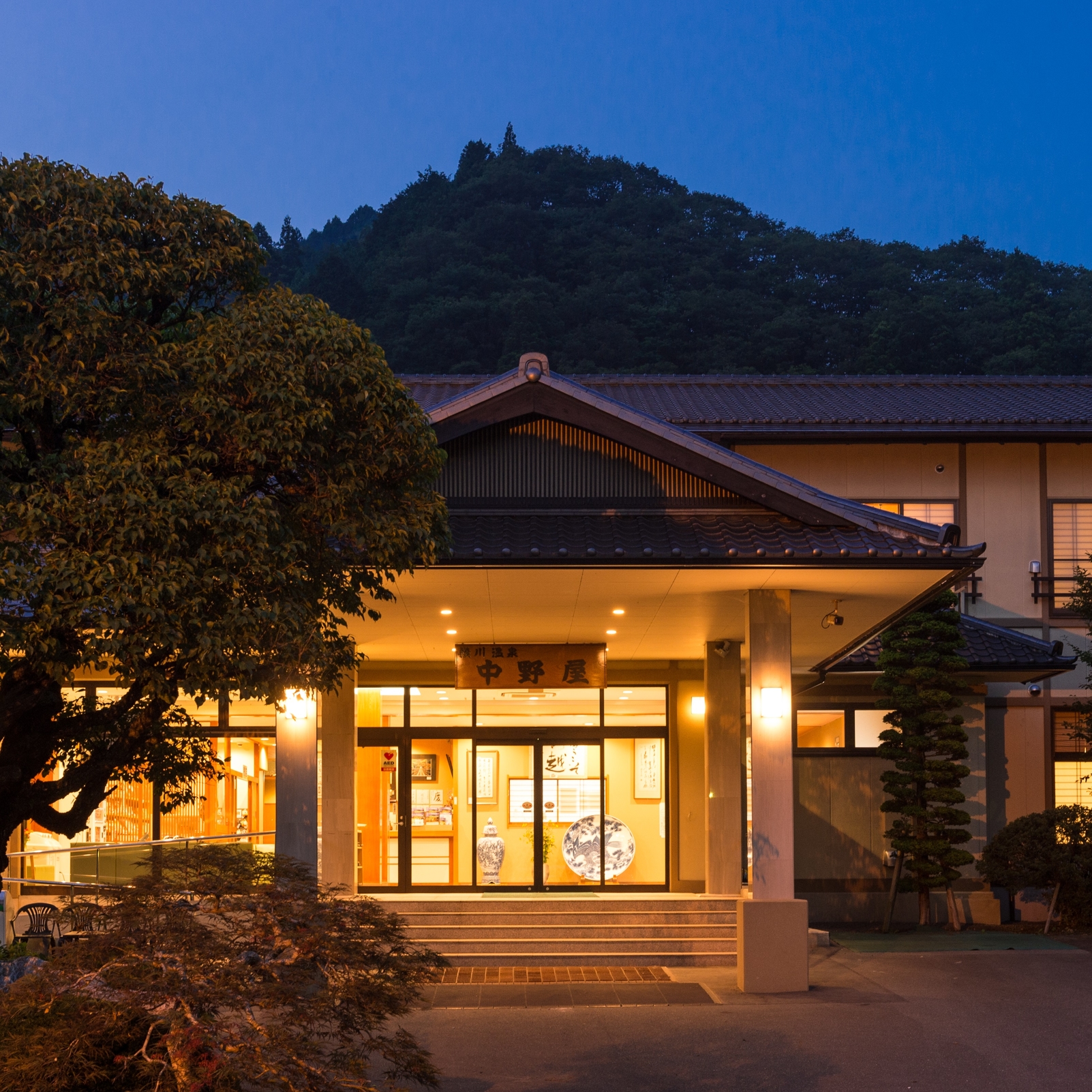 横川温泉 中野屋旅館 1
