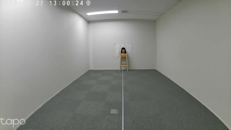屋外デュアルレンズパンチルトセキュリティWi-Fiカメラ 9