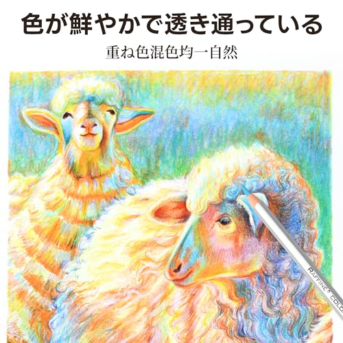 色鉛筆 5