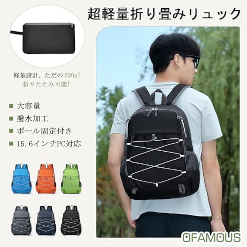 折り畳み 登山リュック 2