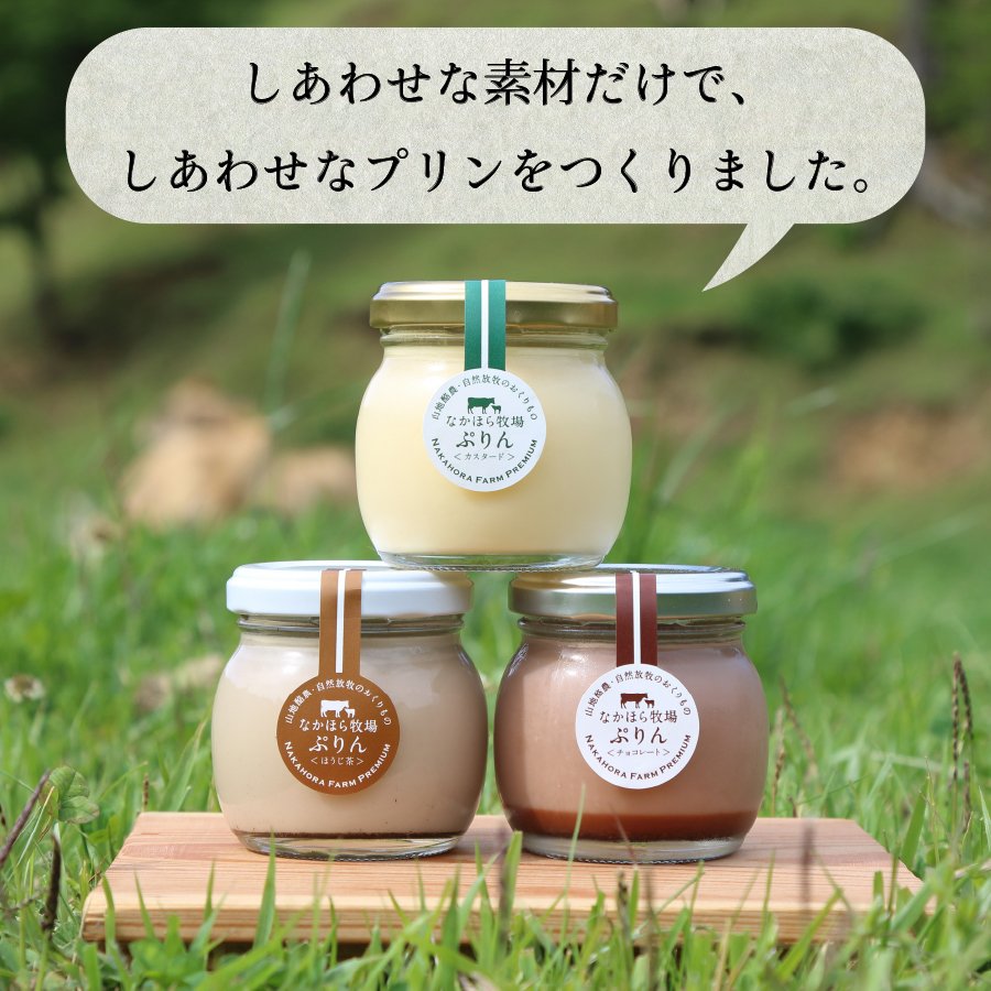 なかほら牧場ぷりん 2