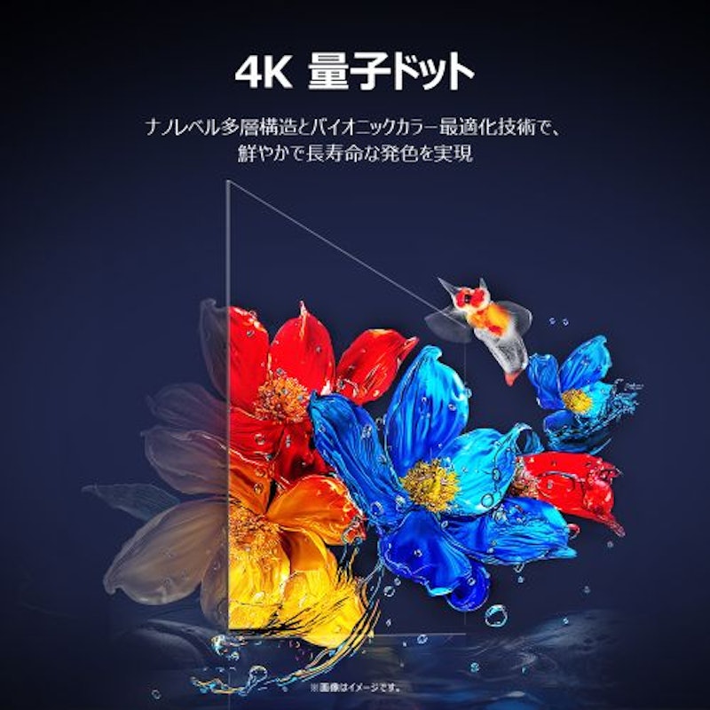 4K量子ドット液晶テレビ 2