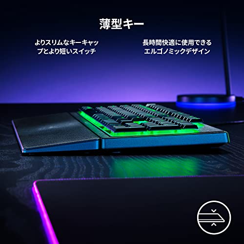 Ornata V3 X  2