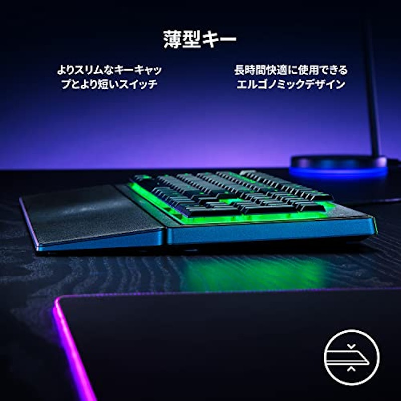 Ornata V3 X 2