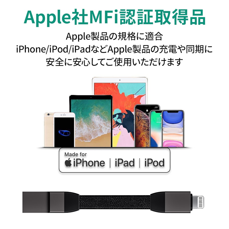 USB Type-A to Lightning ストラップ型ケーブル 10