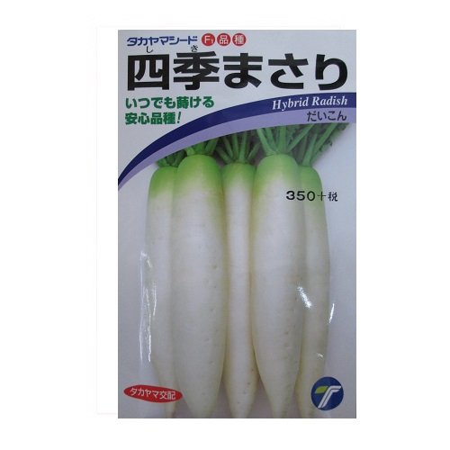 大根 1