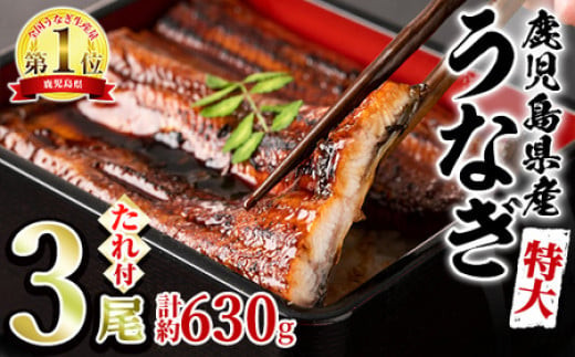東串良町のうなぎ蒲焼 1