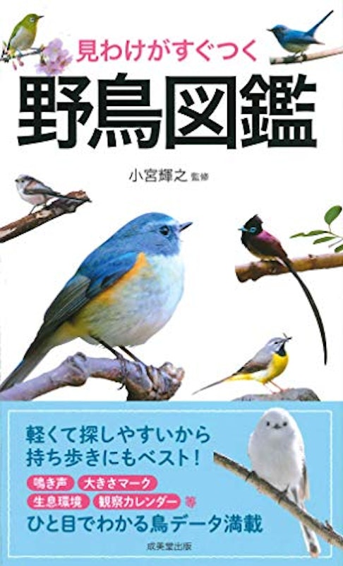 見わけがすぐつく 野鳥図鑑 1