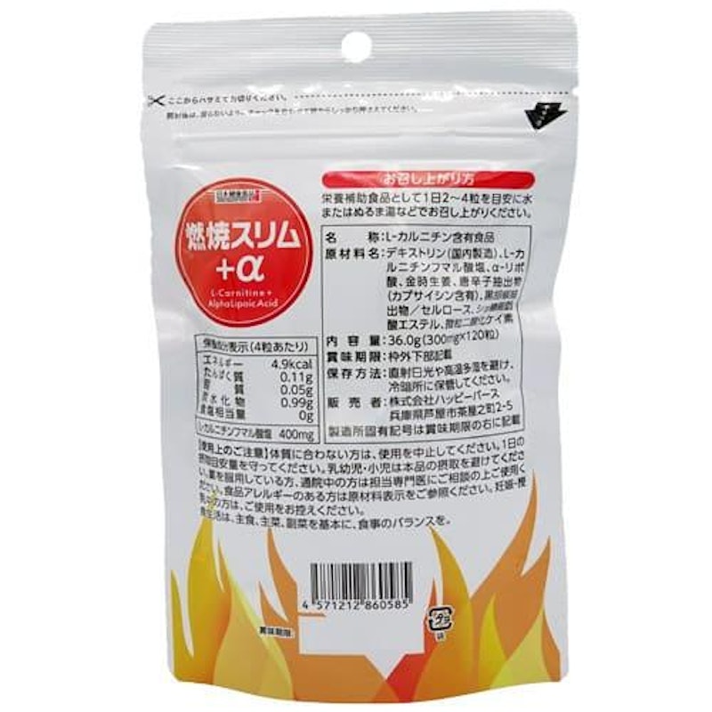 燃焼スリム+α 2